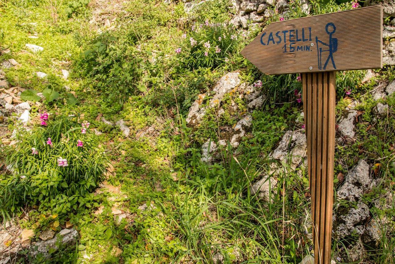 Castelli Olive Press ξενώνας Αχαράβη Εξωτερικό φωτογραφία