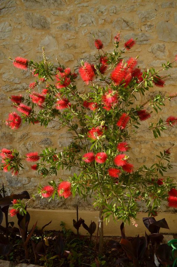 Castelli Olive Press ξενώνας Αχαράβη Εξωτερικό φωτογραφία