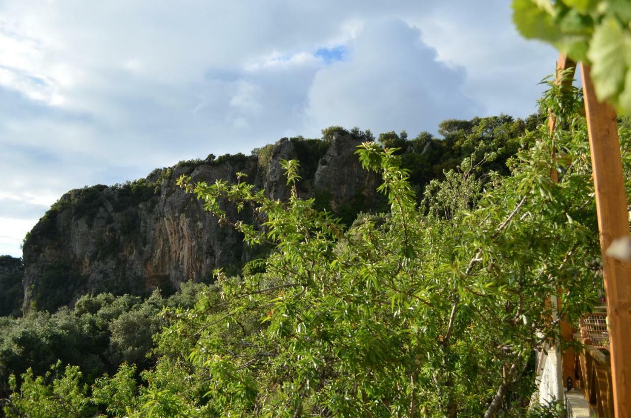 Castelli Olive Press ξενώνας Αχαράβη Εξωτερικό φωτογραφία